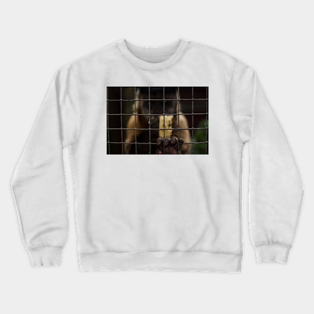 Let Me Out! Crewneck Sweatshirt by arc1